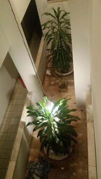 Hotel New Byblos